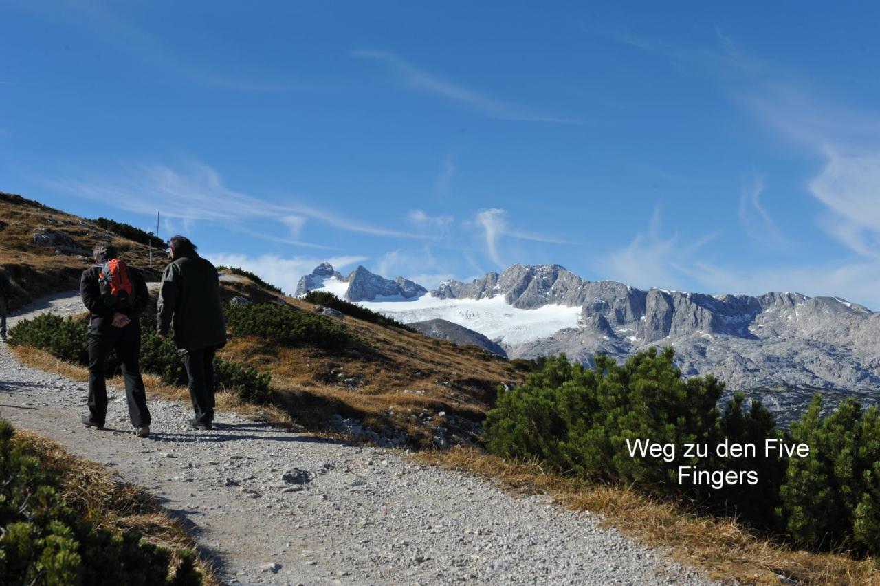 Apartamento Haus Alpenblick Obertraun Exterior foto