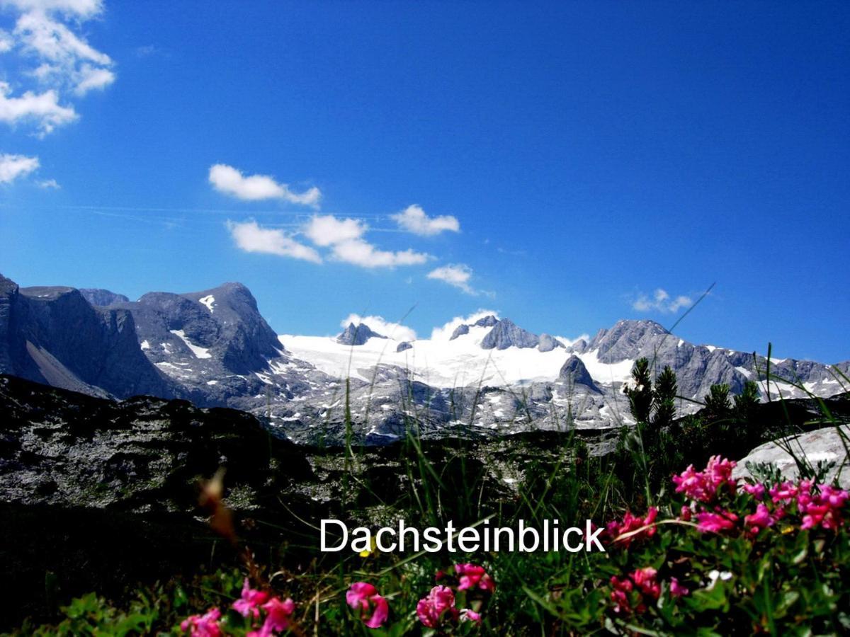 Apartamento Haus Alpenblick Obertraun Exterior foto