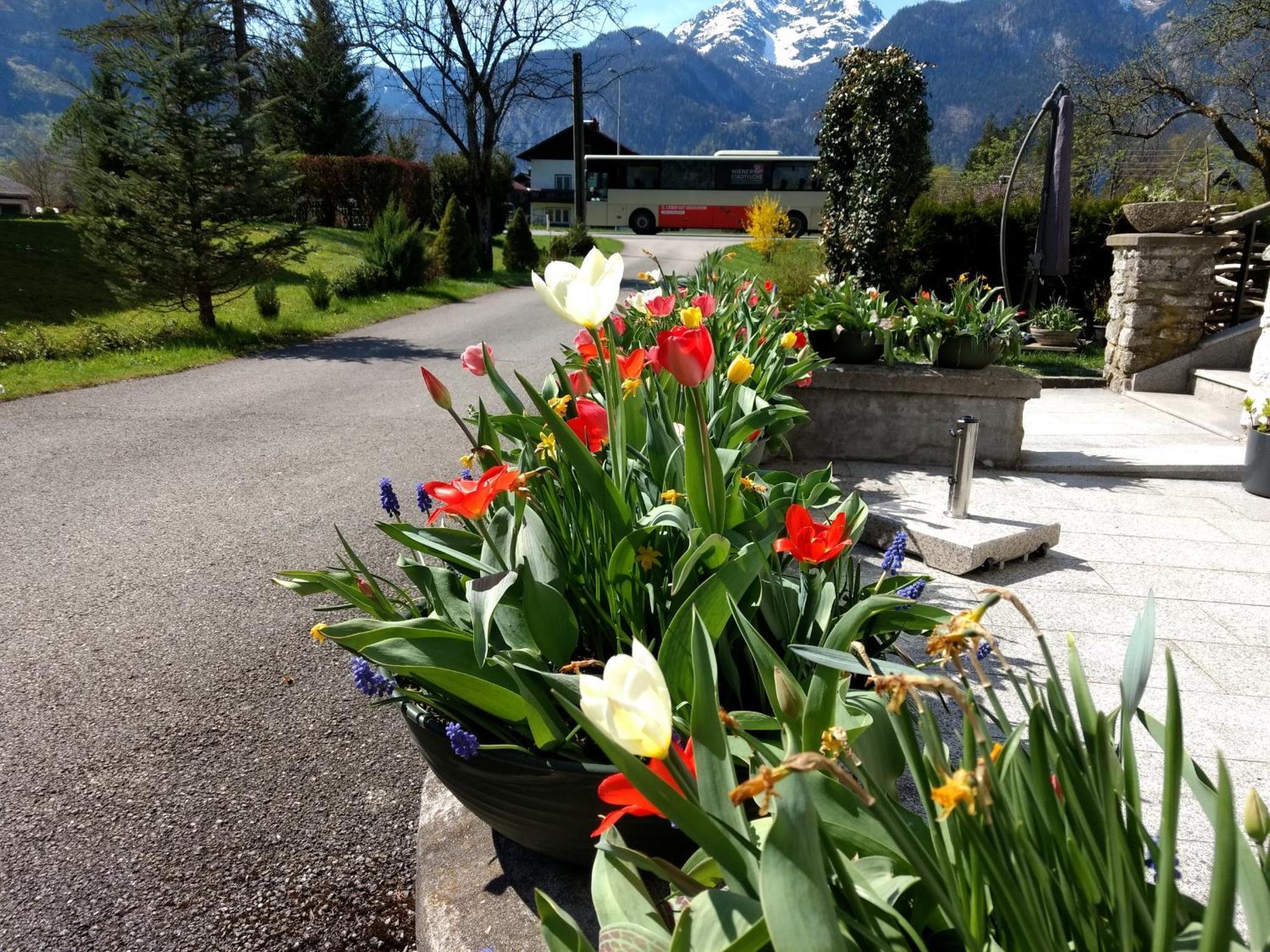 Apartamento Haus Alpenblick Obertraun Exterior foto